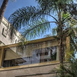 Gazebo aço vidro CASACOR SP Negrelli Teixeira Arquitetura.